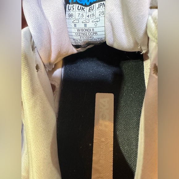 Hike Bondi 8 - Picture 11 of 12